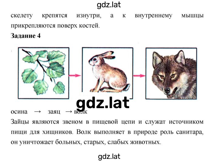 Решение задания № 48 — страница 2