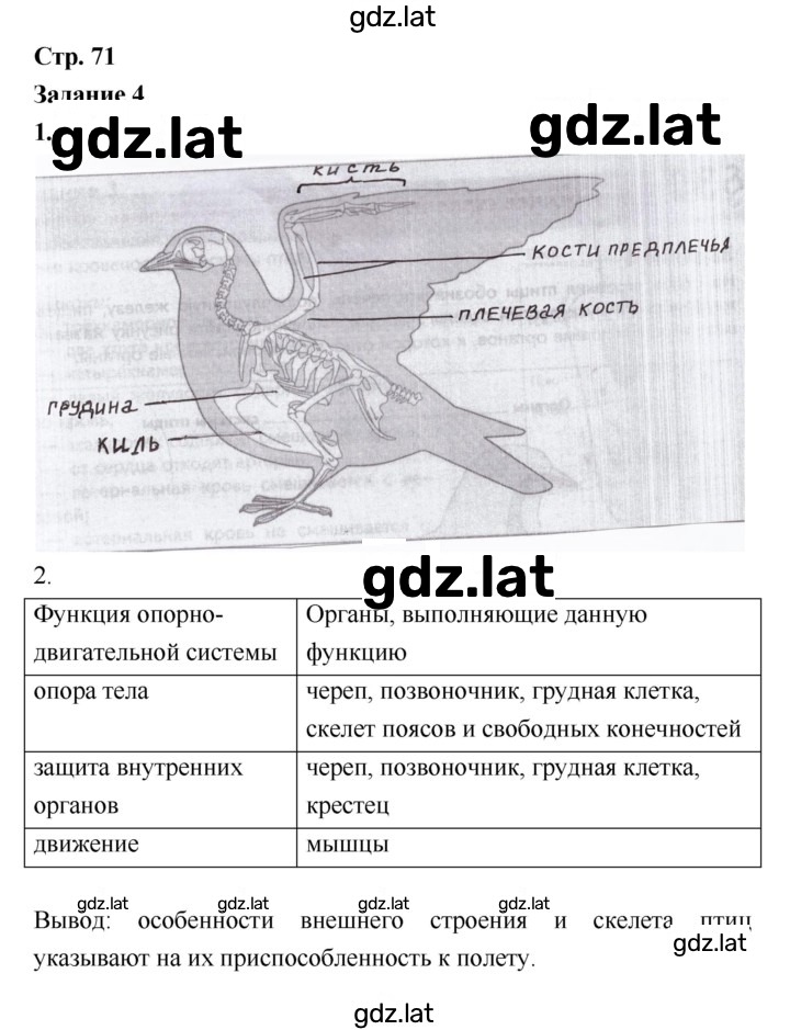 Решение задания № 71 — страница 1