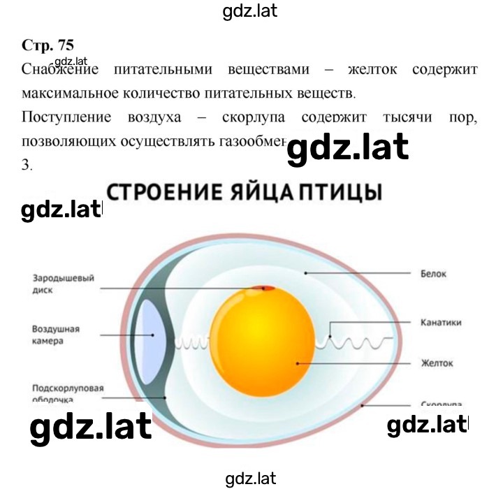 Решение задания № 75 — страница 1