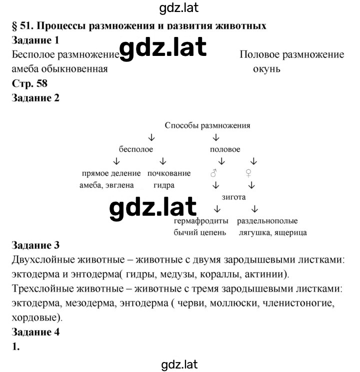 Решение задания № 58 — страница 1