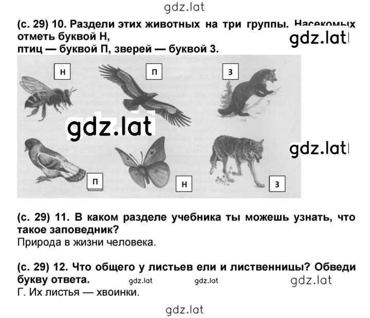 Решение задания № 29 — страница 1