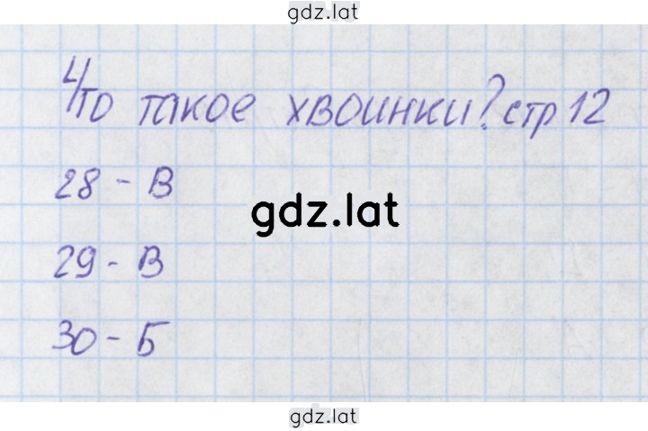 Решение задания № 12 — страница 1