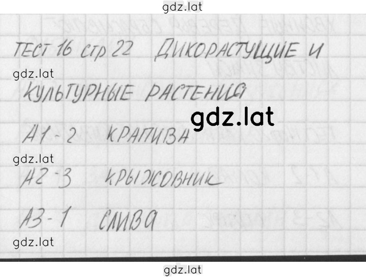 Решение задания № 16 — страница 1