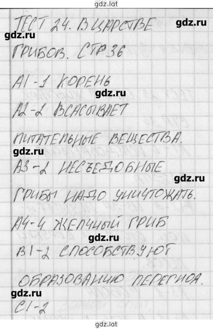Решение задания № 24 — страница 1