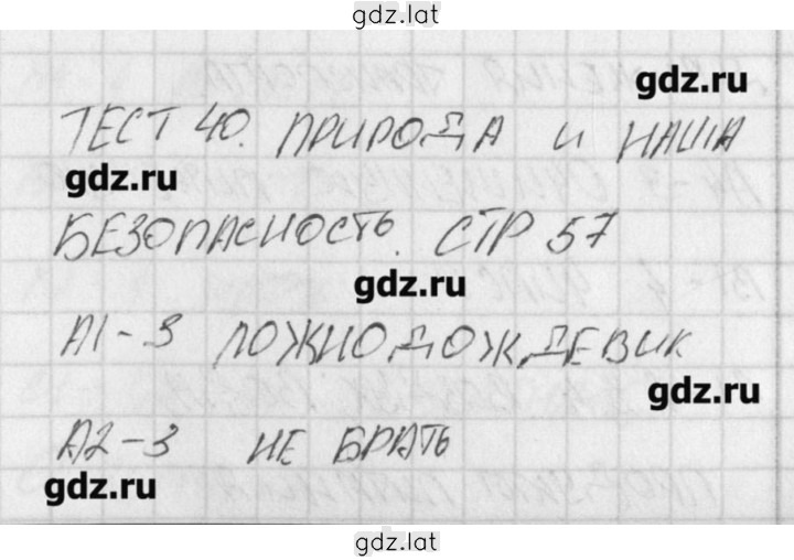 Решение задания № 40 — страница 1