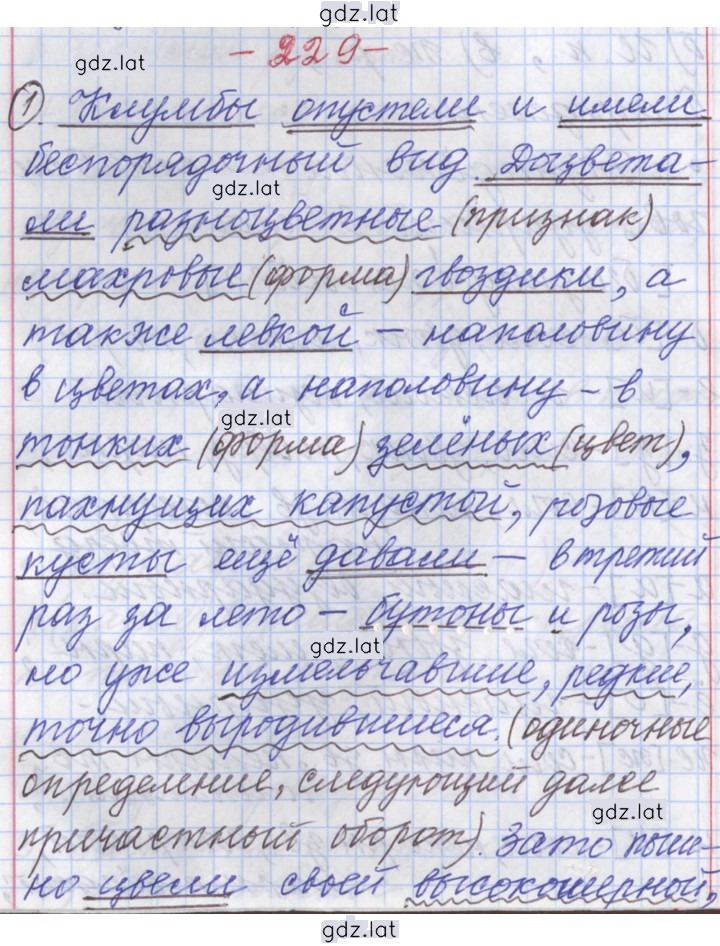 Решение задания № 229 — страница 1