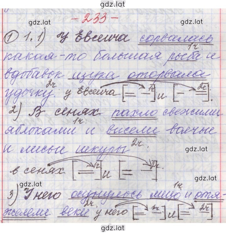 Решение задания № 233 — страница 1