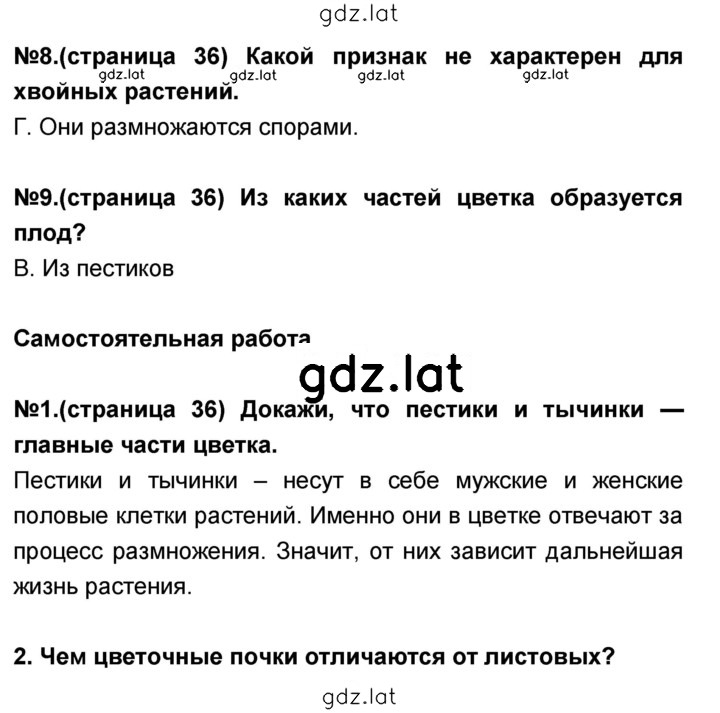 Решение задания № 36 — страница 1