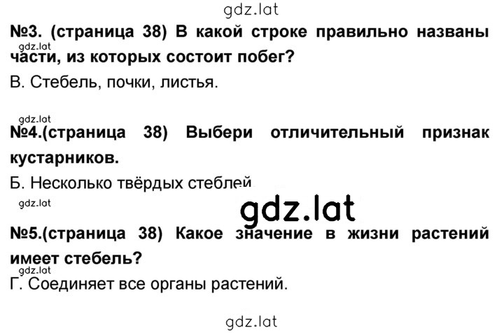 Решение задания № 38 — страница 1