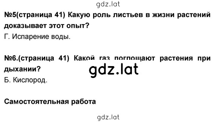 Решение задания № 41 — страница 1