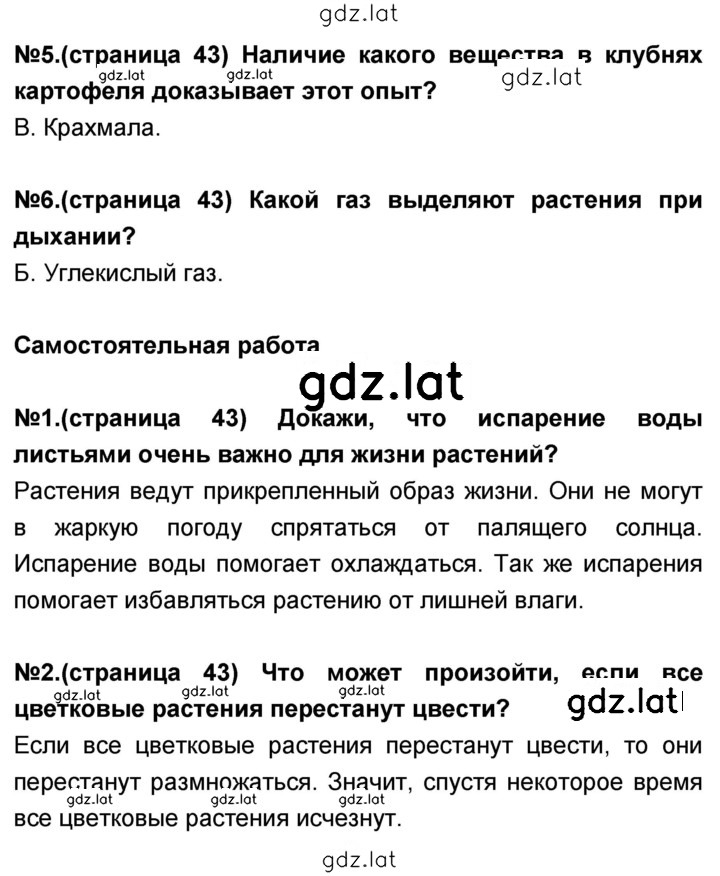 Решение задания № 43 — страница 1