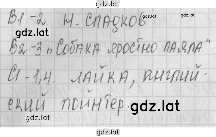 Решение задания № 31 — страница 1