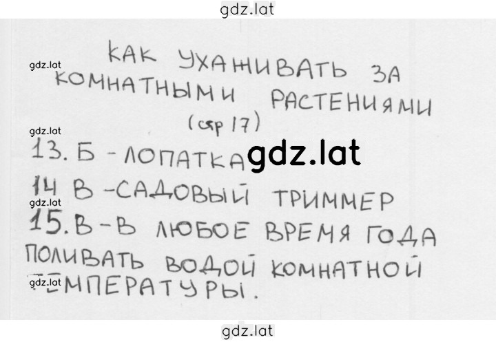 Решение задания № 17 — страница 1
