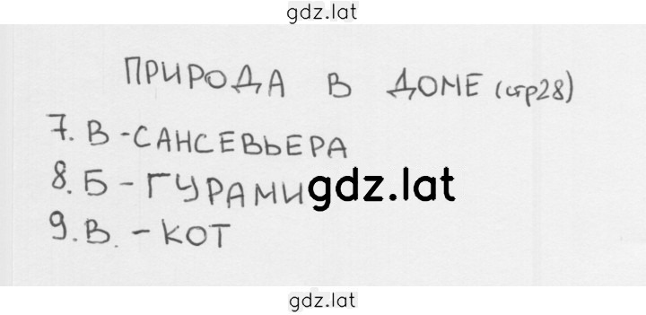 Решение задания № 28 — страница 1
