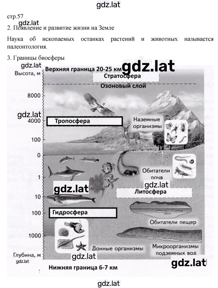 Решение задания № 57 — страница 1