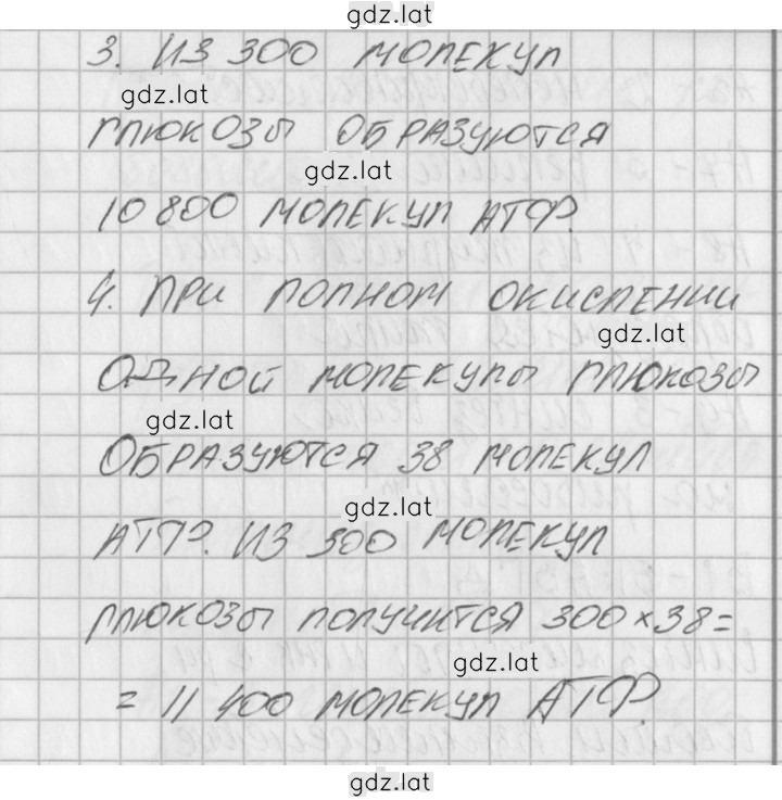 Решение задания № 2 — страница 3