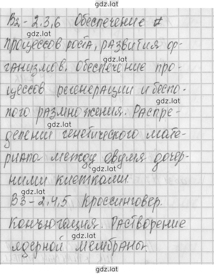 Решение задания № 1 — страница 3