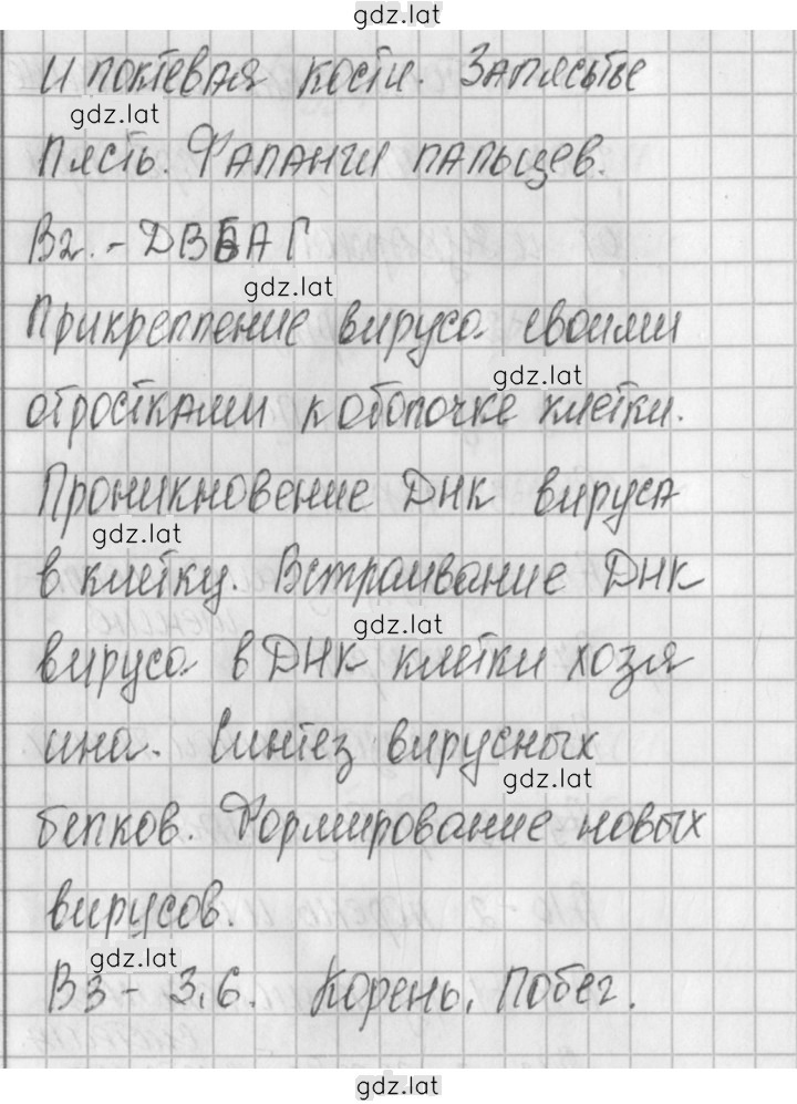 Решение задания № 1 — страница 3