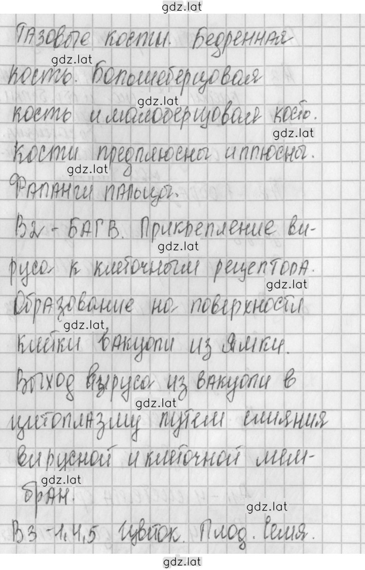 Решение задания № 2 — страница 3