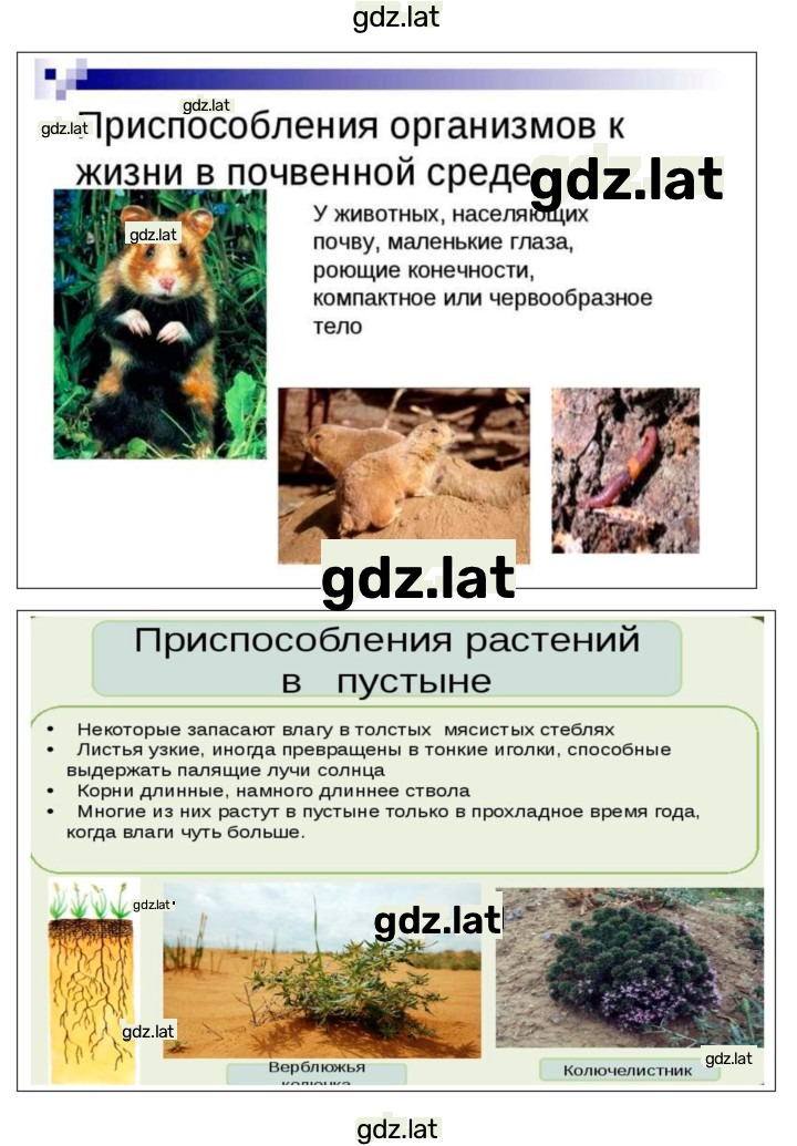 Решение задания № 31 — страница 3