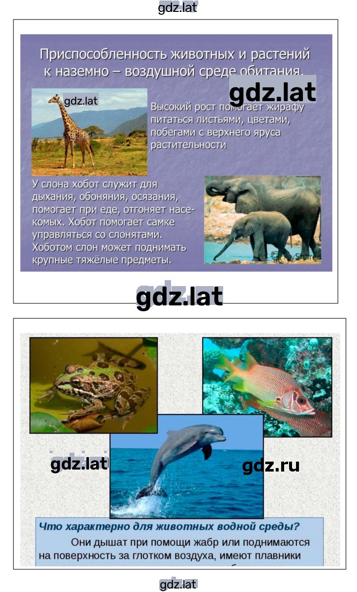 Решение задания № 31 — страница 4