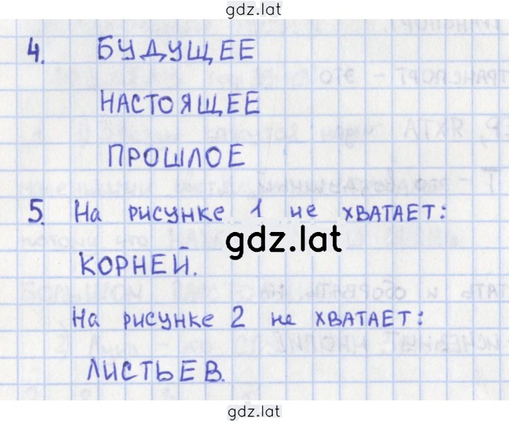 Решение задания № 45 — страница 1