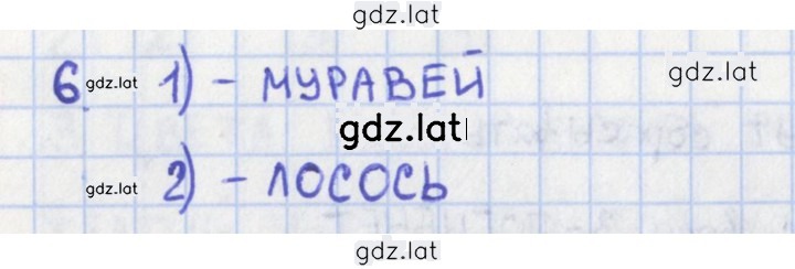 Решение задания № 46 — страница 1