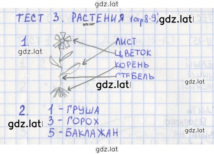 Решение задания № 8 — страница 1