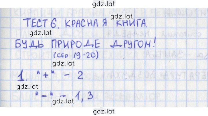 Решение задания № 19 — страница 1