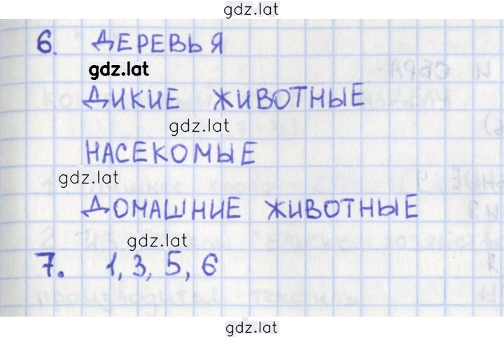 Решение задания № 23 — страница 1