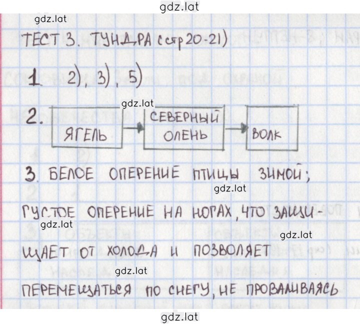 Решение задания № 20 — страница 2