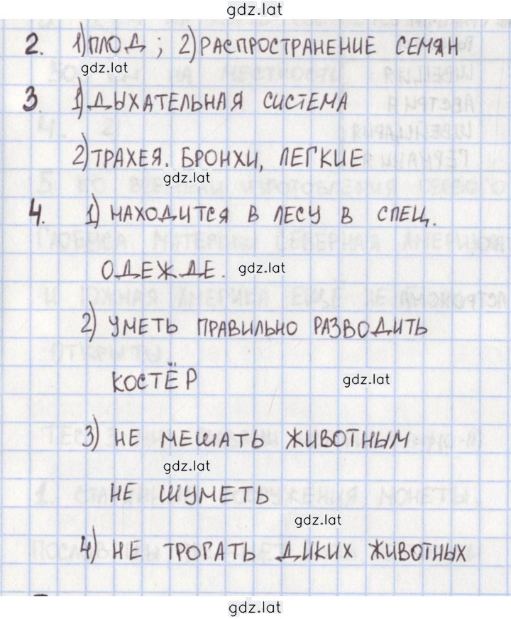 Решение задания № 4 — страница 1