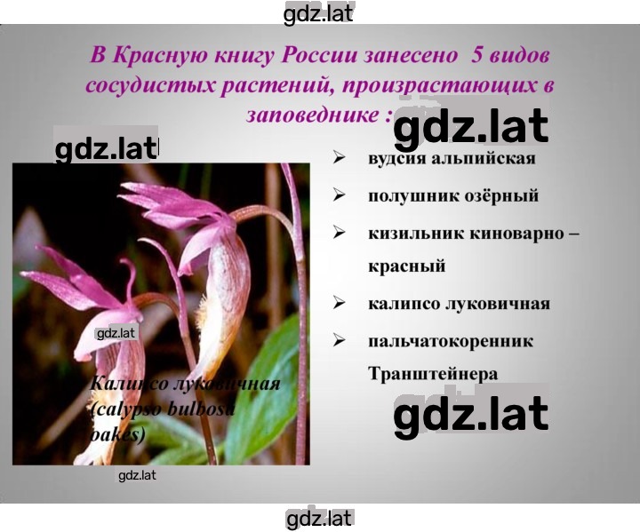 Решение задания № § 29, стр. 183 — страница 18