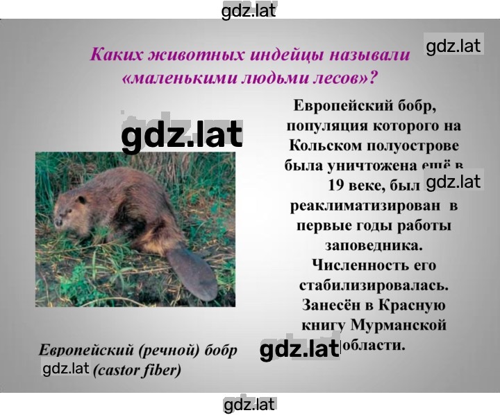 Решение задания № § 29, стр. 183 — страница 22