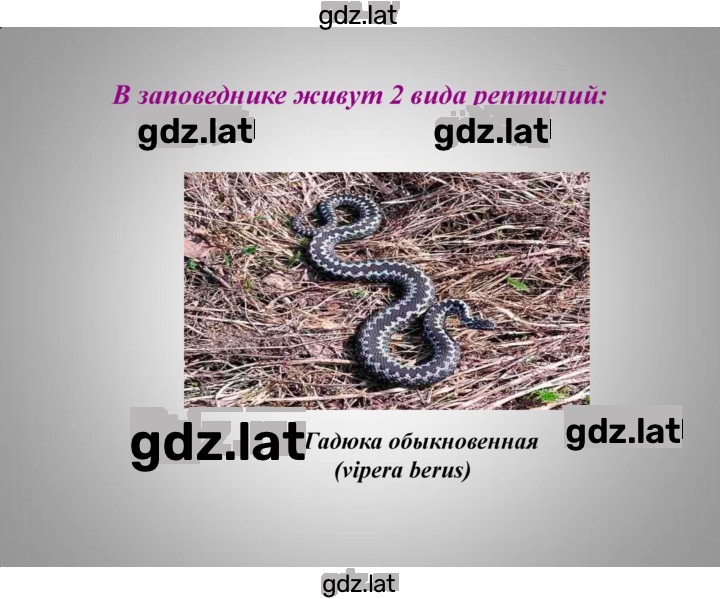 Решение задания № § 29, стр. 183 — страница 26