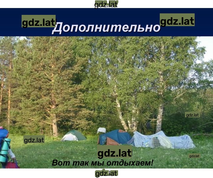 Решение задания № § 42, стр. 260 — страница 13