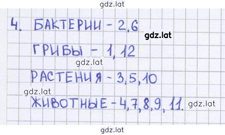 Решение задания № 21 — страница 1