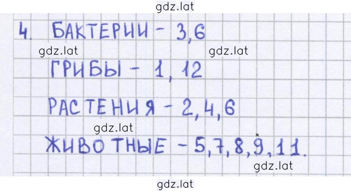 Решение задания № 25 — страница 1