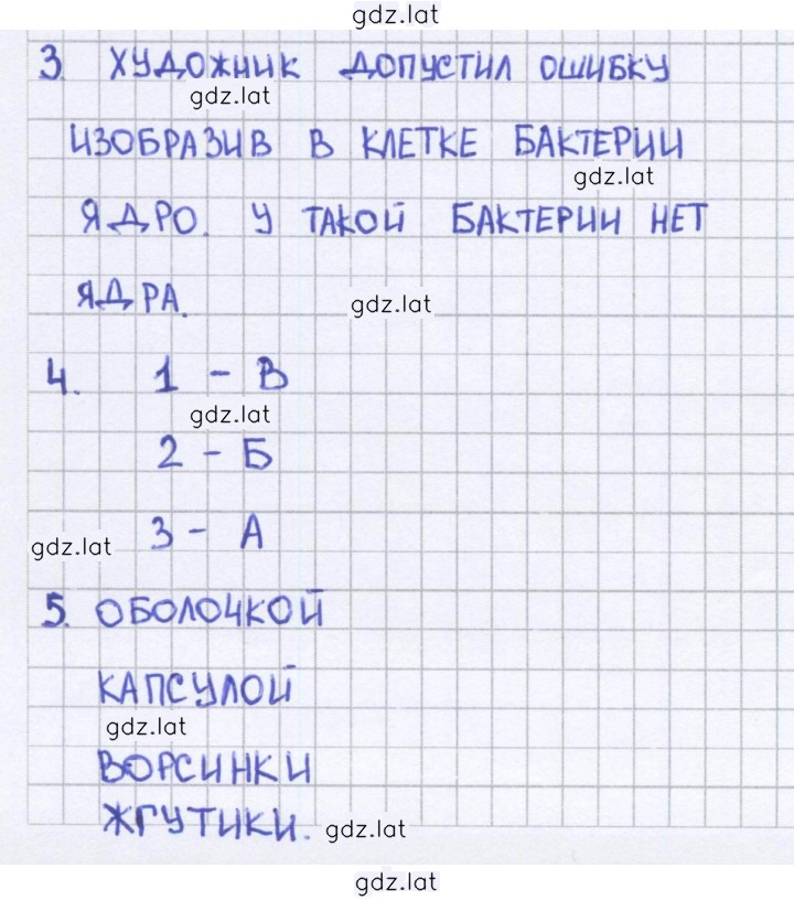 Решение задания № 28 — страница 1