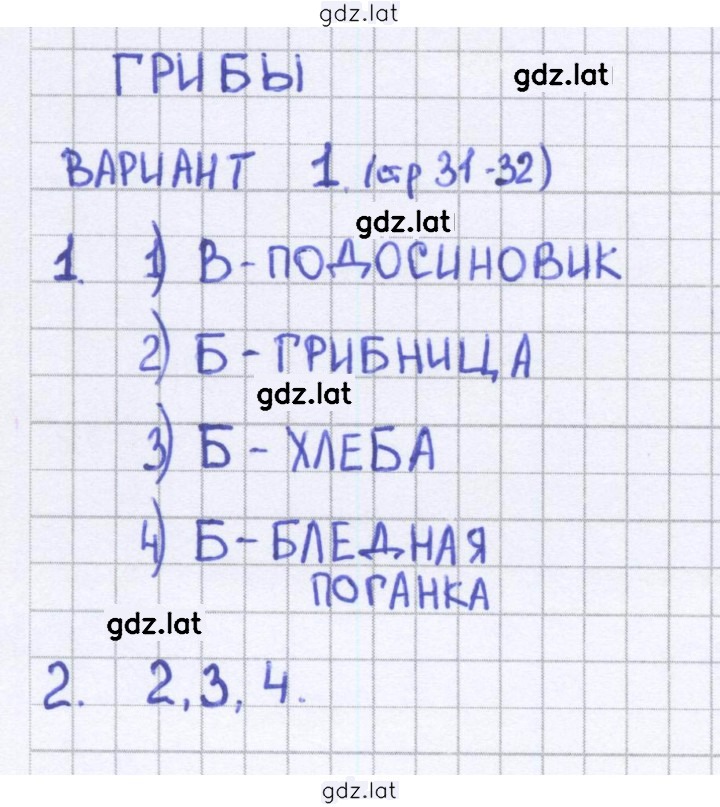 Решение задания № 31 — страница 1