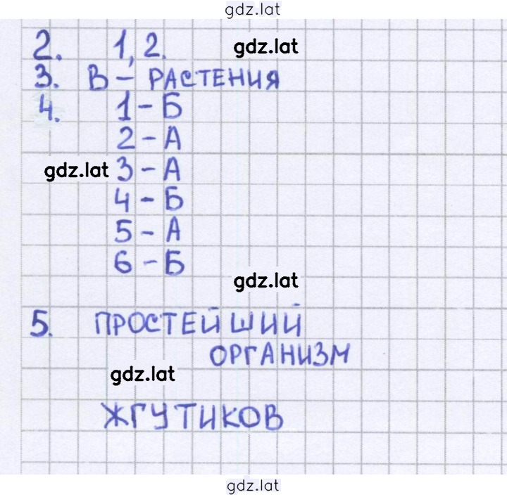 Решение задания № 38 — страница 1