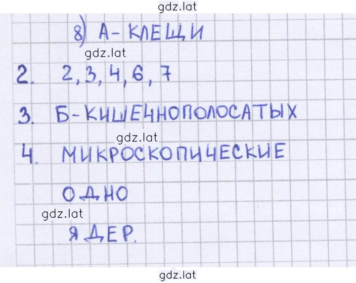 Решение задания № 54 — страница 1