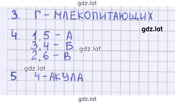 Решение задания № 58 — страница 1
