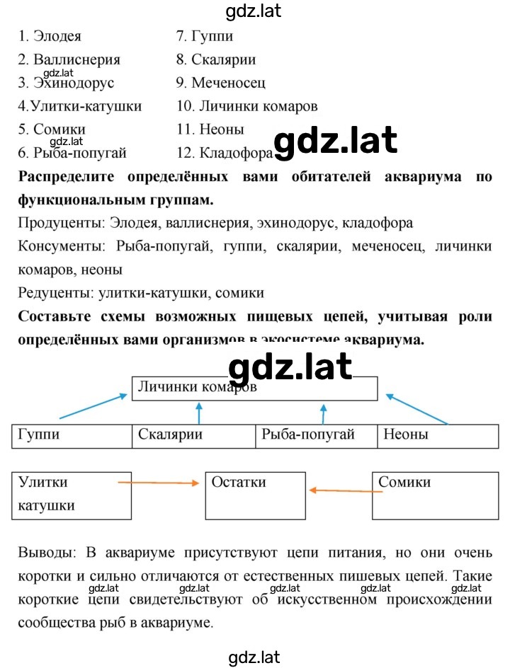 Решение задания № 20–21 — страница 2