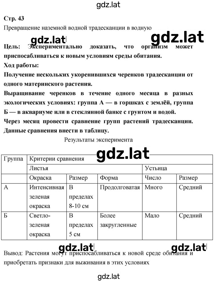 Решение задания № 43 — страница 1