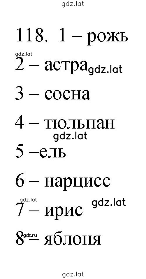 Решение задания № 118 — страница 1