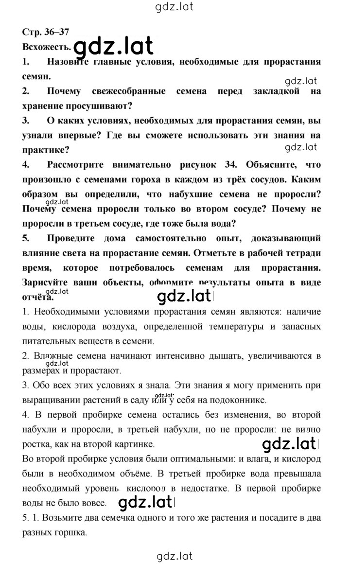 Решение задания № 36–37 — страница 1
