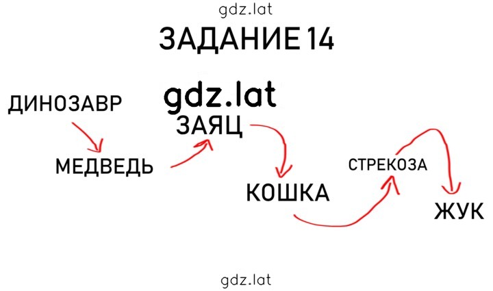 Решение задания № 5 — страница 4