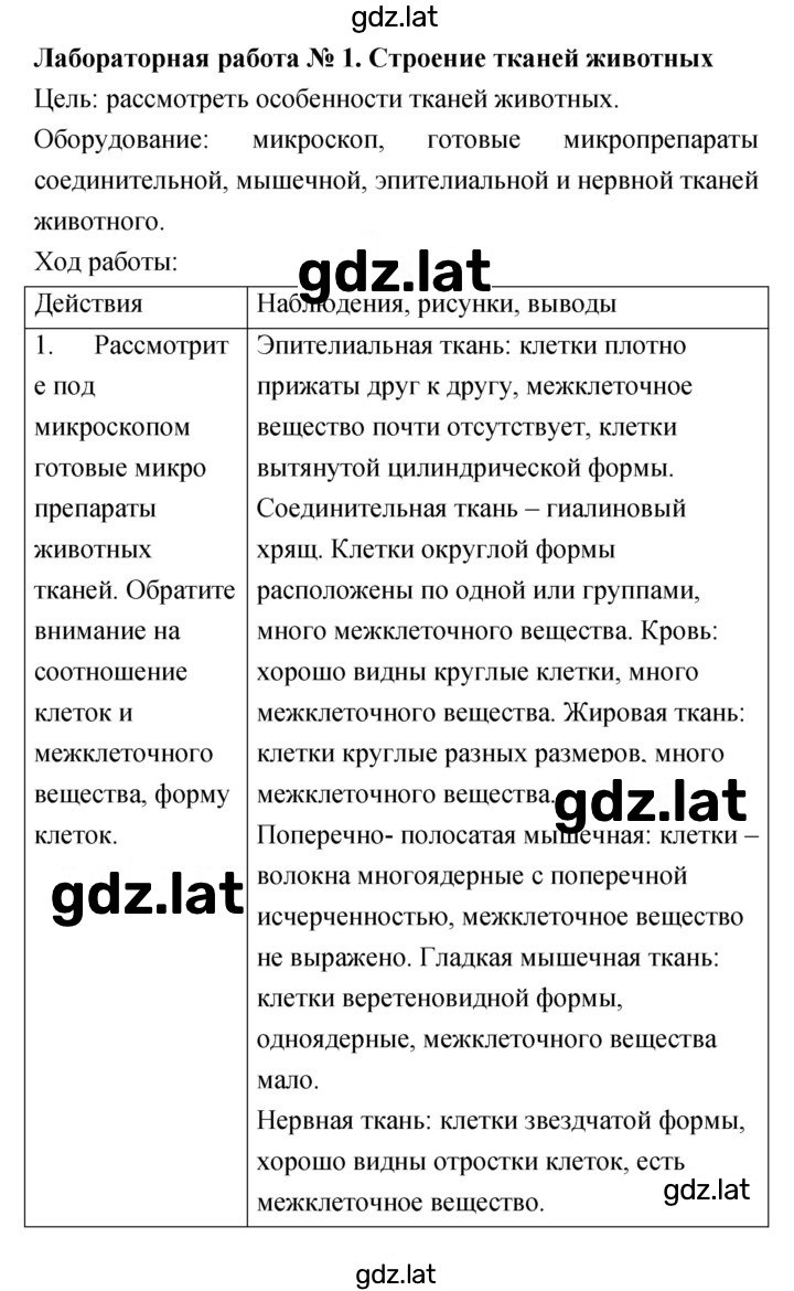 Решение задания № 1 — страница 1
