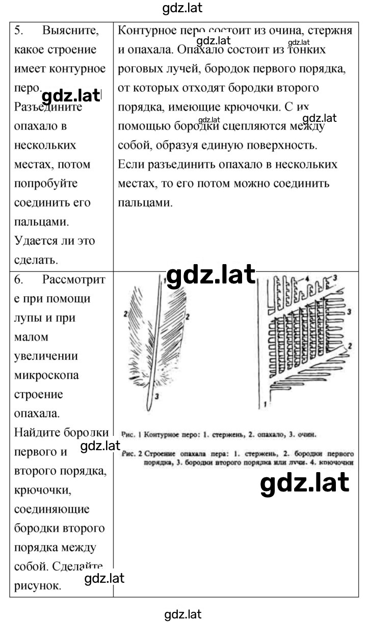 Решение задания № 12 — страница 2